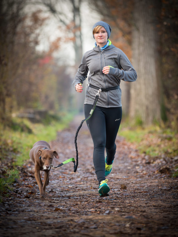 Hunde Joggingleine mit Hüftgurt, elastisch 1,5m-2,0m (Schwarz/Neongrün) – Bild 4