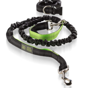 Hunde Joggingleine mit Hüftgurt, elastisch 1,5m-2,0m (Schwarz/Neongrün)