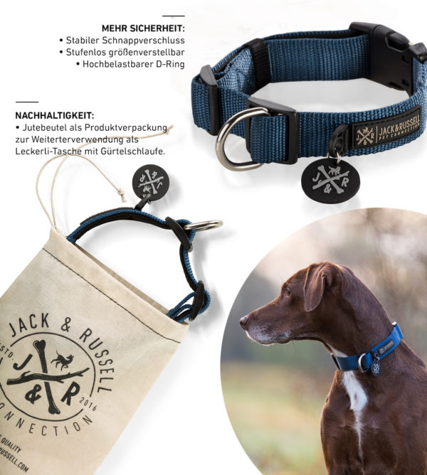 Hundehalsband Balu Neopren gepolstert - in Schwarz oder Blau – Bild 5