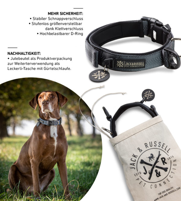 Premium Hundehalsband „Milu" mit Klettband (Grau) – Bild 2