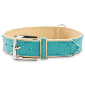 Jack & Russell Premium Leder Hunde Halsband „Lilly“ (Türkis/Beige)