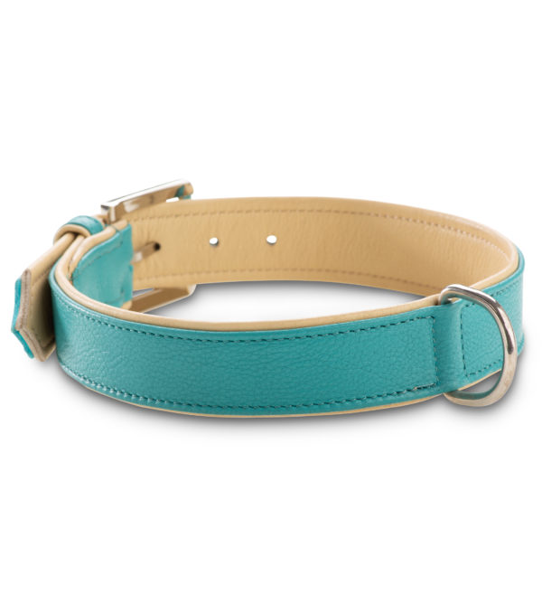Jack & Russell Premium Leather Dog Collar “Lilly” (Turquoise/Beige) - Image 2