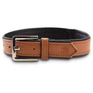 Jack & Russell Premium Leder Hunde Halsband „Lilly“ (Braun/Schwarz)