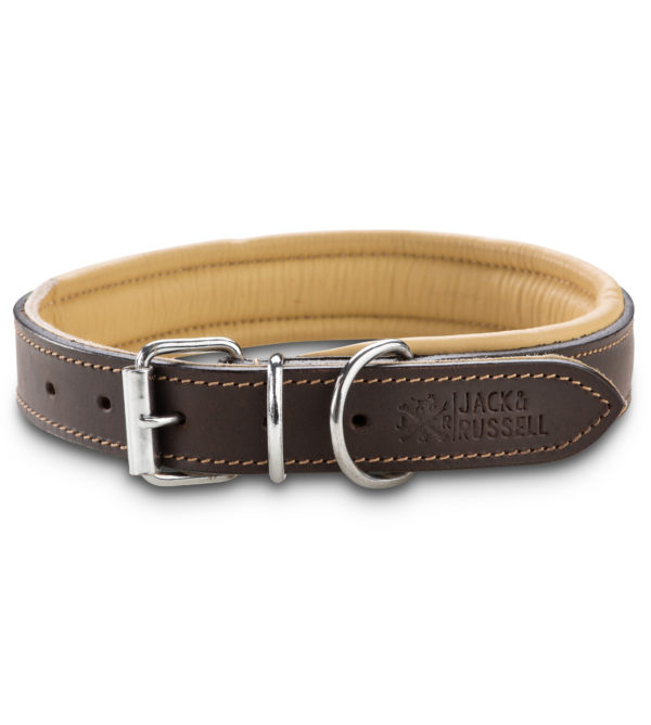 Premium Leder Hunde Halsband Pluto
