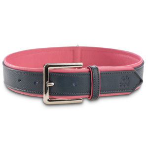 Jack & Russell Premium Leder Hunde Halsband „Lilly“ (Blau/Pink)