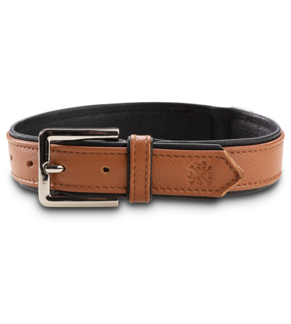 Jack & Russell Premium Leather Dog Collar “Lilly” (Brown/Black) - Image 2