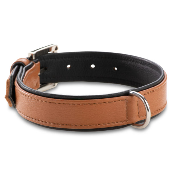Jack & Russell Premium Leather Dog Collar “Lilly” (Brown/Black) - Image 3