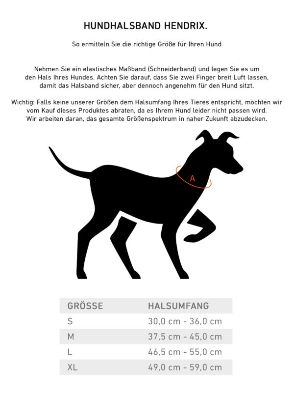 Premium Leder Hunde Halsband „Hendrix" (Dunkelbraun) – Bild 5