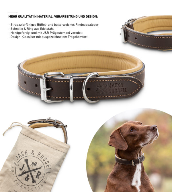 Premium Leder Hunde Halsband Pluto – Bild 3