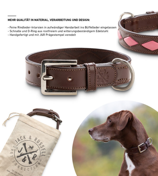Premium Leather Dog Collar Rhonda - Image 6