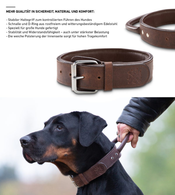 Premium Leder Hunde Halsband „Jack" mit Haltegriff (Braun) – Bild 7