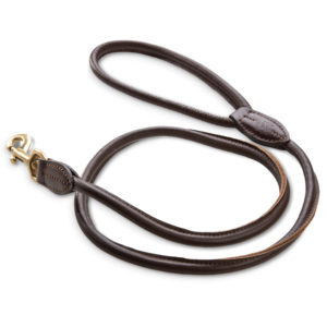 Leder  Hundeleine Moritz braun 1,2m - Leine aus Echtleder mit Messing-Karabiner