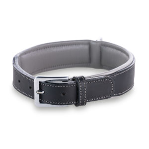 Premium Hunde Leder Halsband „Amy" (Schwarz/Grau)