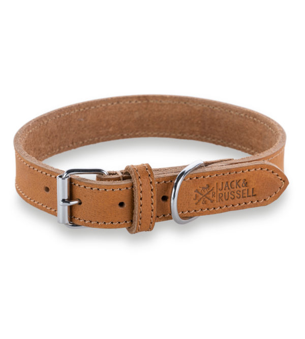 Fat leather dog collar Fat Tony
