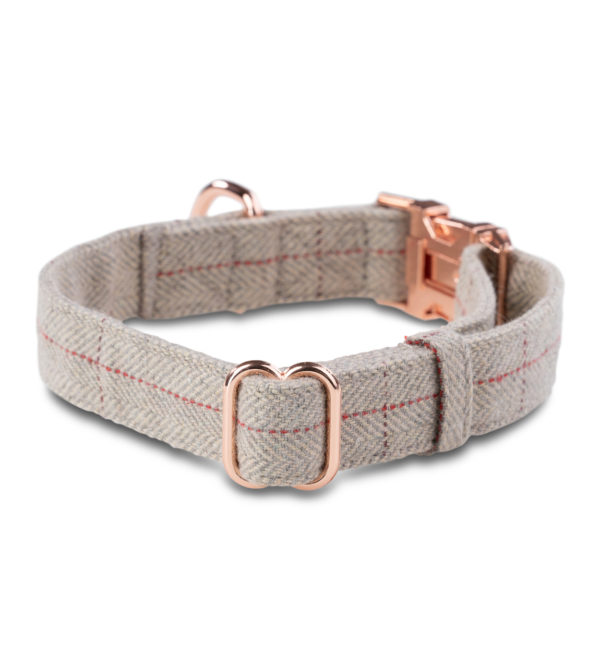Premium Hunde Tweed Halsband Cody Hellgrau – Bild 2