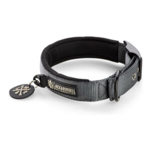 Premium dog collar "Max" with rivets - neoprene padded - (grey)