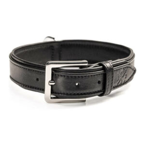 Jack & Russell Premium Leder Hunde Halsband „Lilly" (Schwarz)