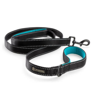 Premium dog leash – “Rocky” (black/blue)