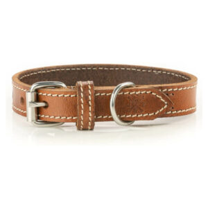 Dog collar for small & large dogs "Tom" (Brown)