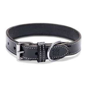 Sehr Robustes & Elegantes Lederhalsband „Hector" aus Echt-Leder (Schwarz)